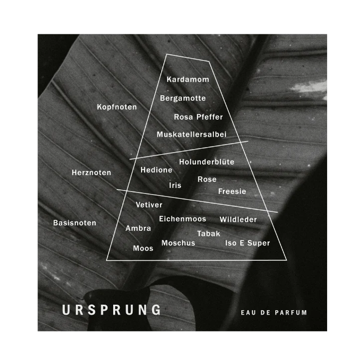 Ursprung Eau De Parfum 50ml - Image 3